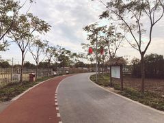 -上海长兴岛郊野公园