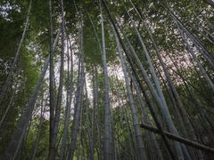 -黄山翡翠谷景区