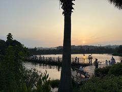 -枫香湖儿童公园