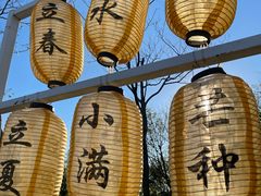 -天津东丽湖风景区