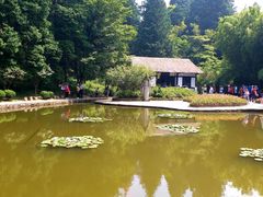 -庐山风景区花径公园
