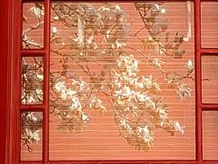 -宣南文化博物馆