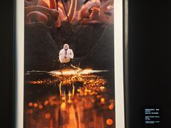 -罗红摄影艺术馆