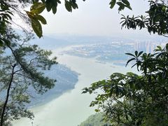 -铁山坪森林公园