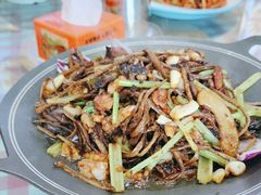 -八次方密云水库鱼粘卷子·熏鸽子·农家菜