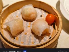-点都德·毕德寮