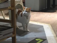 -小时光咖啡馆(开森度假森林店)