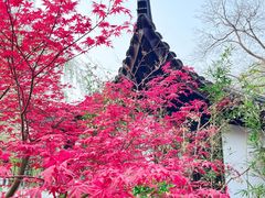 -君庭中餐厅(友谊宾馆店)