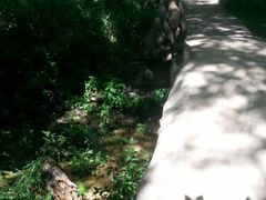 -大青沟风景区