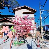 倒数第二次恋爱取景地