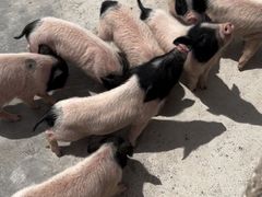 -水上乐园·欢乐世界