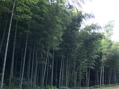 -黄公望隐居地
