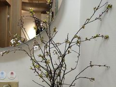 -梅花境(万科店)