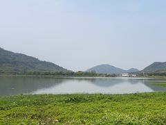-风云岭森林公园