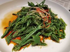 南瓜芽-马仕玖煲·融合菜·酥不腻烤鸭(人大店)