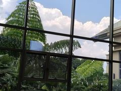 -昆明洲际酒店