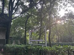 -WeLope紫金山探险公园