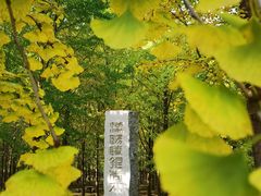 -汉景帝阳陵博物院