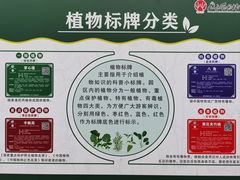 -广西壮族自治区药用植物园