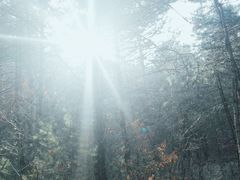 -帽儿山国家森林公园