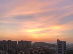 -西树泡芙(湖滨银泰in77B区店)