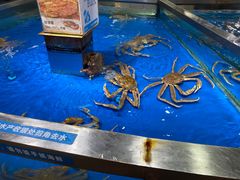 -盒马鲜生(悦峰店)