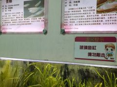 -上海大自然野生昆虫馆(东方明珠·爬宠昆虫探索中心)