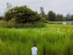 -西昌邛海湿地