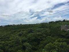 -东寨港红树林旅游区