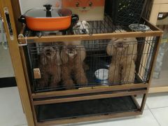 -多卡布奇宠物生活馆(上林世家店)