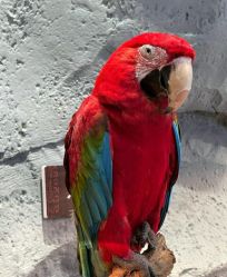 -Zoolung Zoolung动物主题公园(海信广场店)