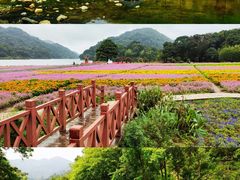 -广州市石门国家森林公园