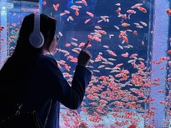 -海合安成都极地海洋公园