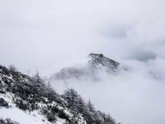 -大水川景区