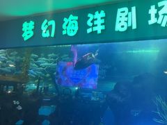 -聊城海底世界