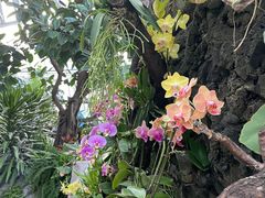 -北京植物园-展览温室