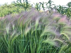 -长春公园(普阳街道)