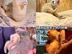-正佳极地海洋世界