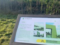 -南京市江宁方山