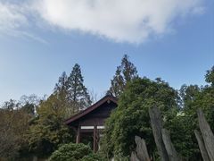 -杭州植物园