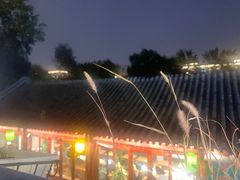 -Sirena海妖日咖夜酒