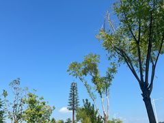 -北龙湖湿地公园