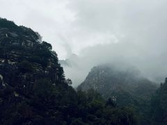 -王顺山国家森林公园
