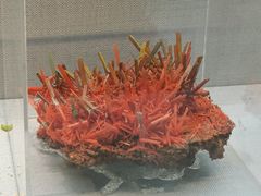 -湖南省地质博物馆