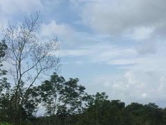 -七仙岭温泉国家森林公园