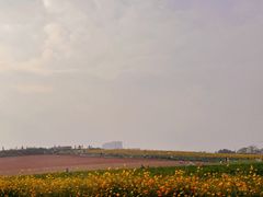 -光明小镇欢乐田园