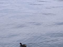 -柳莺湖上·湖景餐厅·江南菜(西湖店)