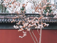 -钱王祠