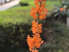 -杭州雅谷泉山庄酒店-餐厅