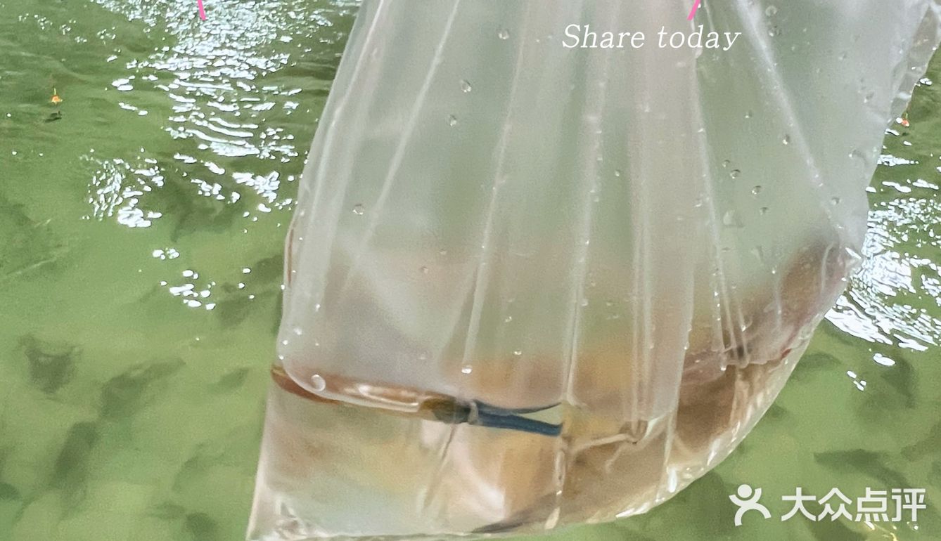 天气这么热，这个1元的快乐，你们有没有上车？